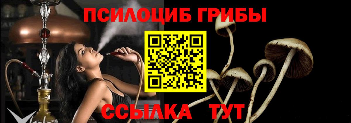Псилоцибиновые грибы Magic Shrooms  Вход с VPN  Истра  наркота  Псилоцибиновые грибы ЛСД 